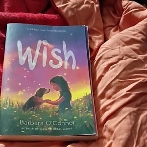 Wish by Barbara O'Connor Book